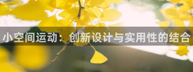 意昂4五金厂:小空间运动:创新设计与实用性的结合