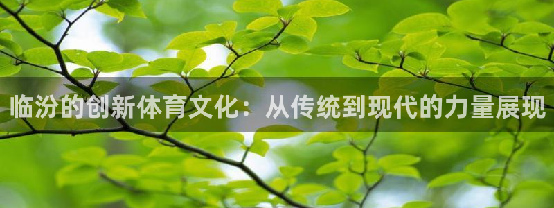 意昂体育4平台注册流程视频:临汾的创新体育文化:从传统到现代